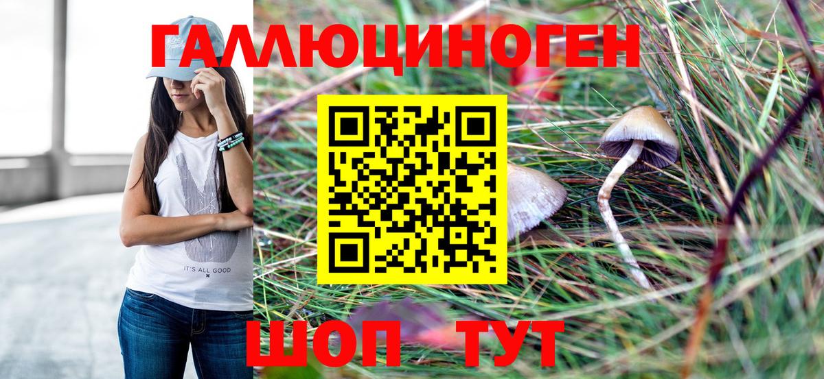 Галлюциногенные грибы прущие грибы Старая Купавна