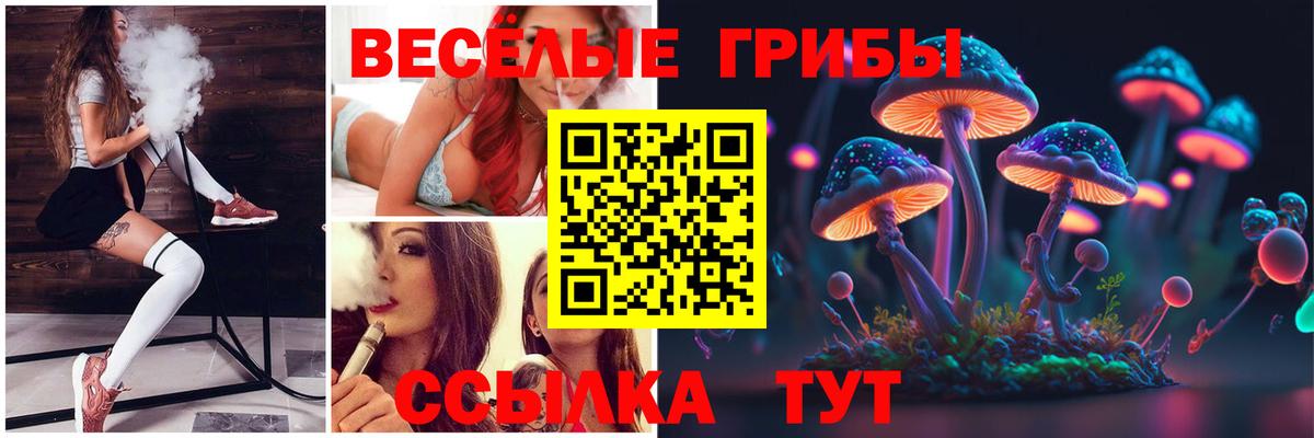 Старая Купавна  Галлюциногенные грибы Psilocybe  Вход с VPN 